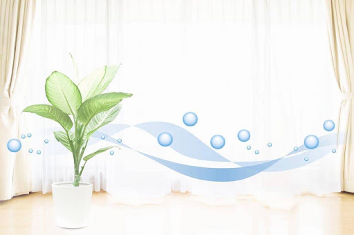 SHOPBMO247.COM Khong khi sach la khong khi co it tap chat