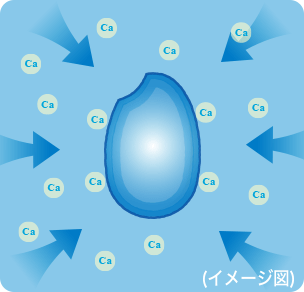 SHOPBMO247.COM noi com dien toshiba rc 10zwt 7