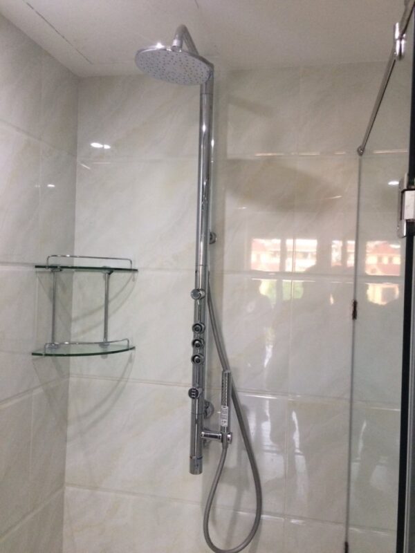 Sen cây Toto TMC95ECR nước chảy từ thân sen và 2 bát sen cao cấp - Ảnh 4