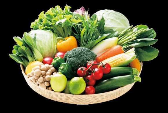 SHOPBMO247.COM tu lanh mitsubishi mr wxd70g 4