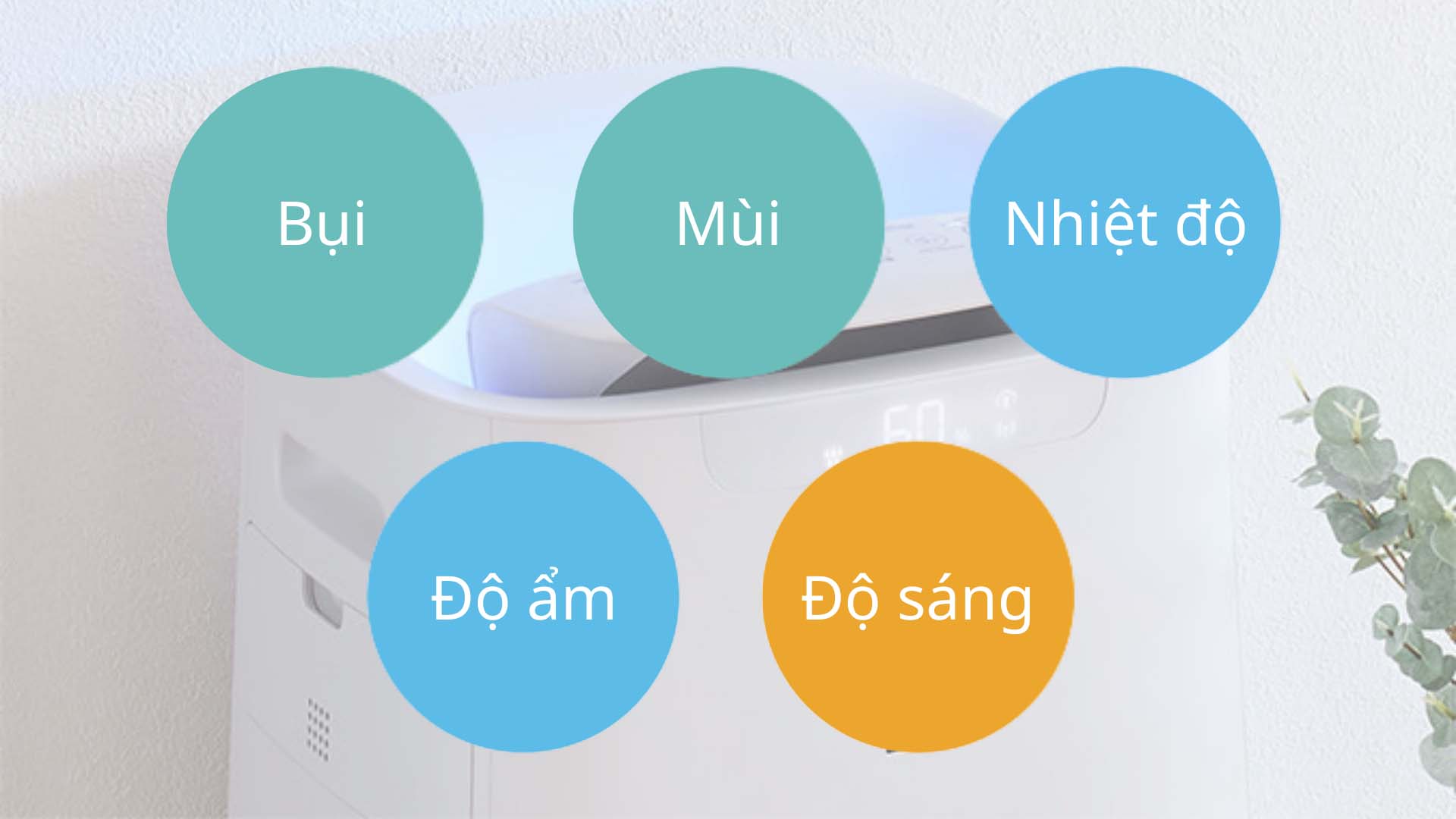 SHOPBMO247.COM May loc khong khi Sharp KL NS70 1