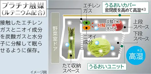 Ngăn rau củ ngủ tủ lạnh Hitachi R-WXC74X