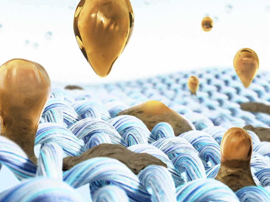 SHOPBMO247.COM NA LX129DL 10